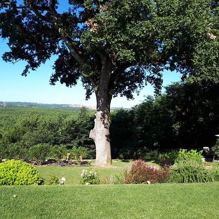 Bed and Breakfast La Chenaie Sainte-Marthe  Esterno foto